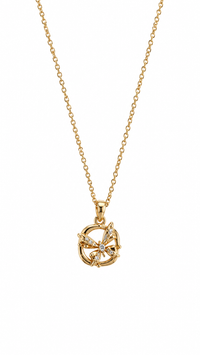 Goldene Halskette mit Zirkonia Anhänger